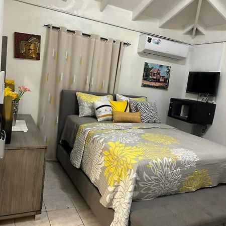 Beautiful Vacation Home Ocho Rios Exterior foto